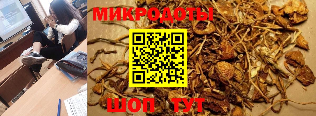 Галлюциногенные грибы ЛСД Кизилюрт